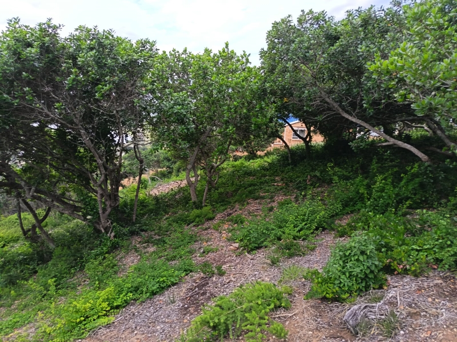 0 Bedroom Property for Sale in Bergsig Western Cape